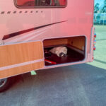 Sunlight-T 64 *Franskbädd *Markis *Cykelställ *-(2011)-3136954